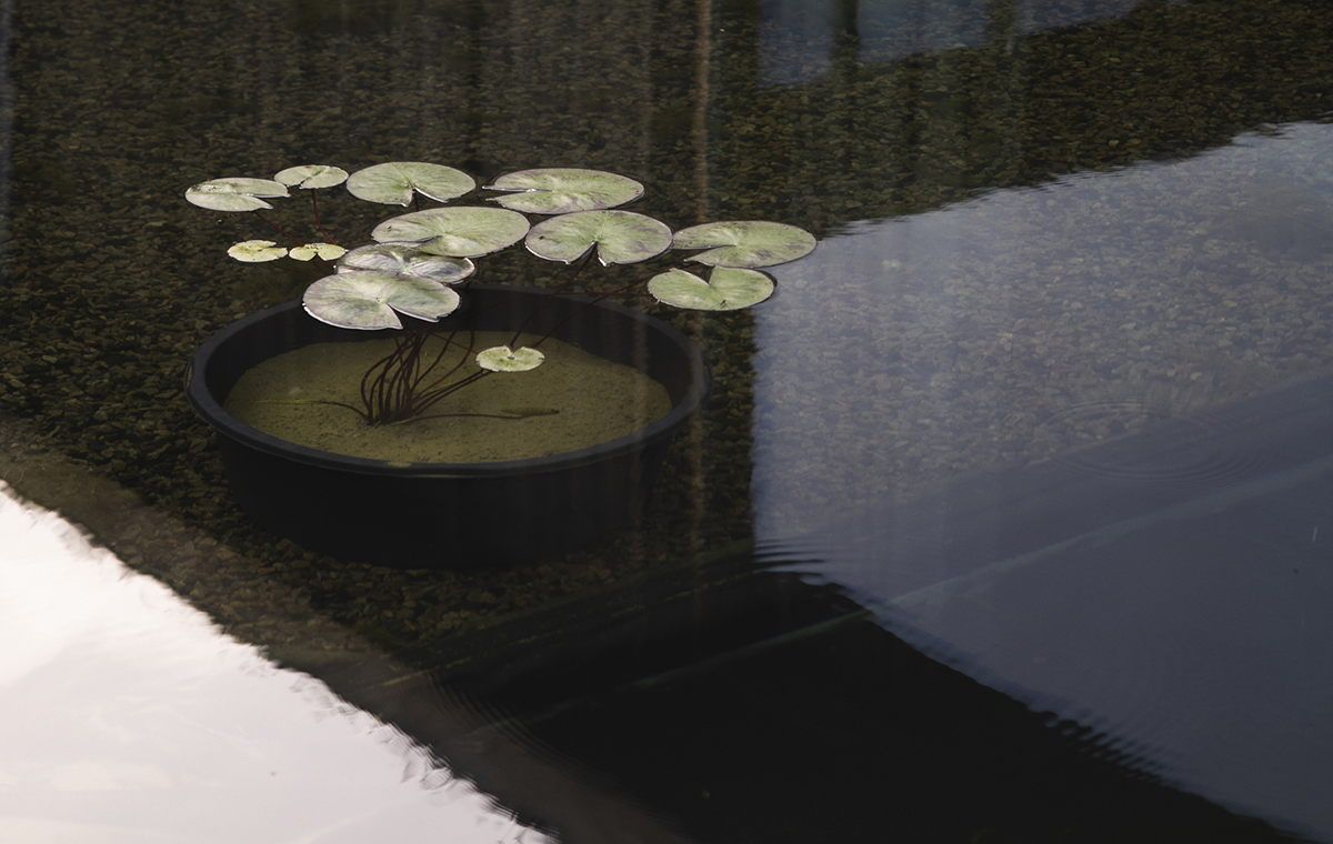 Norm Architects SJOPARKEN 2023 JBP 11